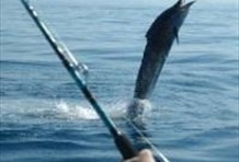 Sport Fishing